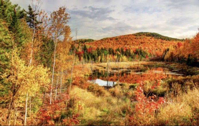 Los colores de otoño