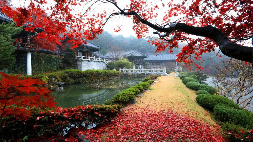 Corea del Sur