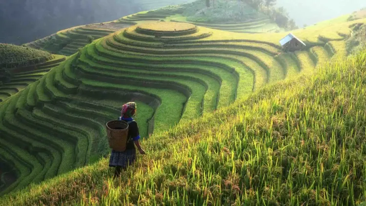  Impresiones de China