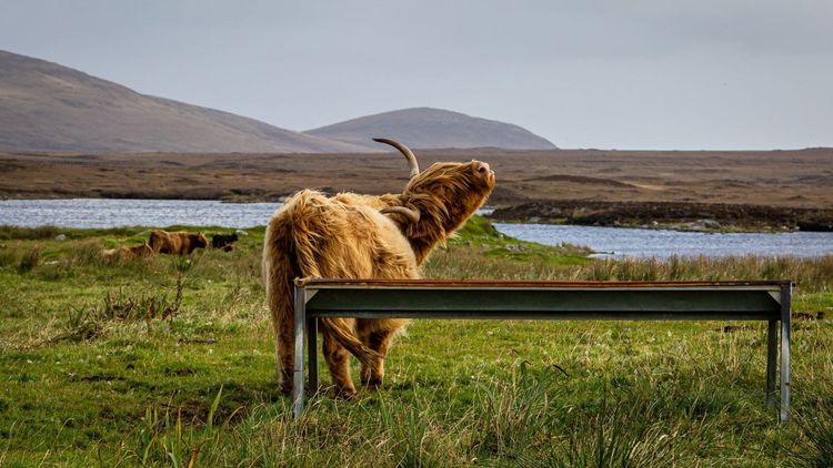 La Gran Ruta de Escocia