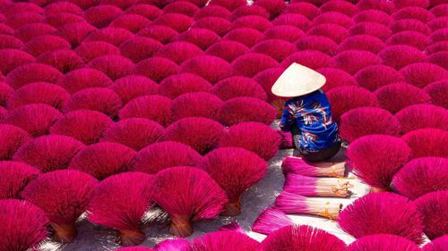 Vietnam
