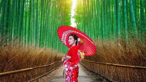 La Gran Ruta Samurái