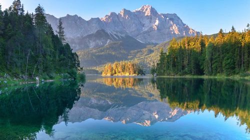 Baviera y Selva Negra