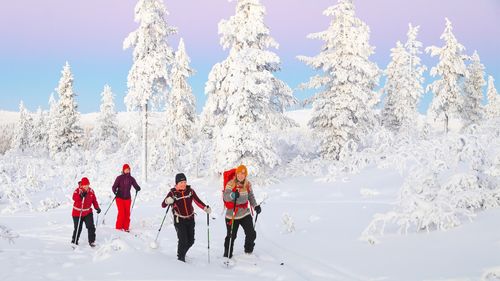 Cap d'Any a Lapònia