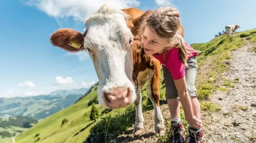 Suiza con Niños