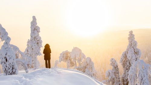 Oferta Finlàndia a l'Hivern