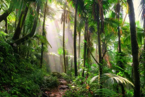 Naturaleza