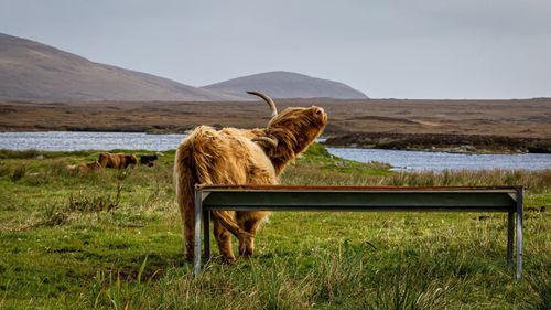  La Gran Ruta d'Escòcia