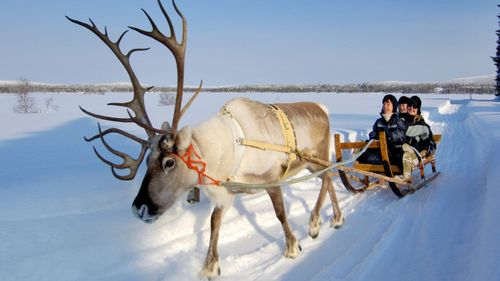 Lapònia – Oferta Pont de Desembre