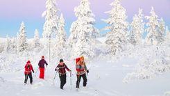 Fin de Año en Laponia
