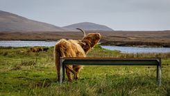  La Gran Ruta d'Escòcia